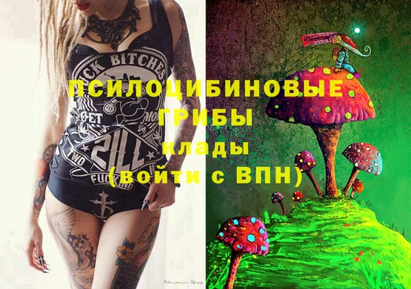 PSILOCYBIN Бородино