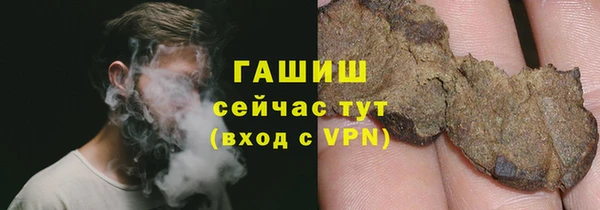 сатива Волоколамск