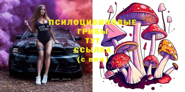 сатива Волоколамск